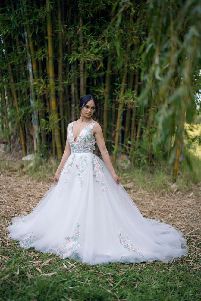Front facing A-line gown in ivory tulle with rose and green floral details and V-neckline
