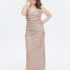 Shimmery Cowl Neckline Dress